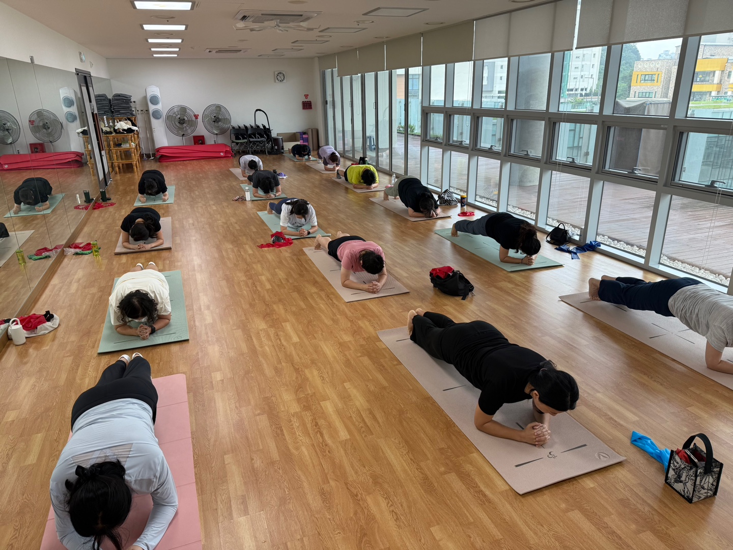 사진