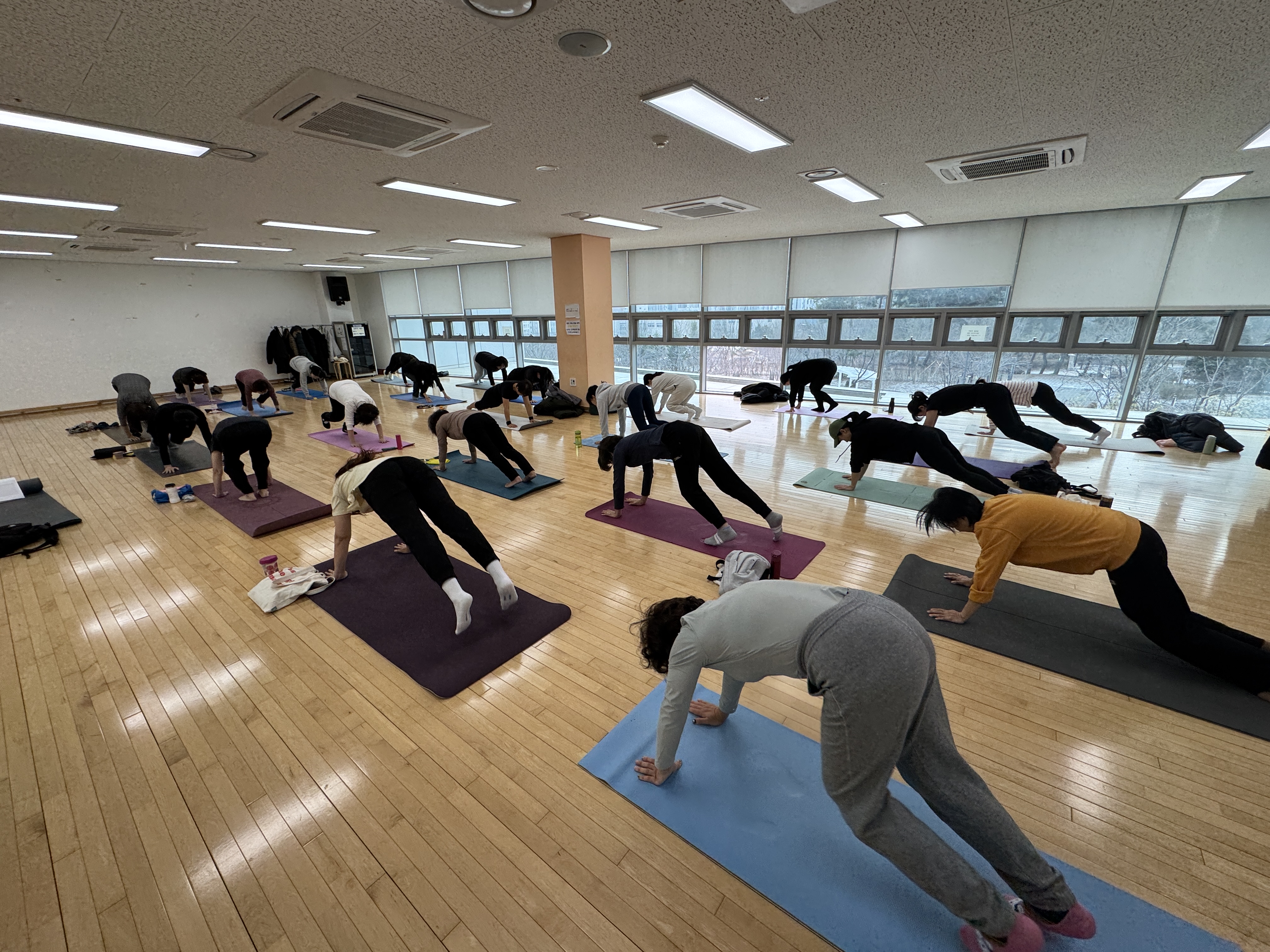 사진